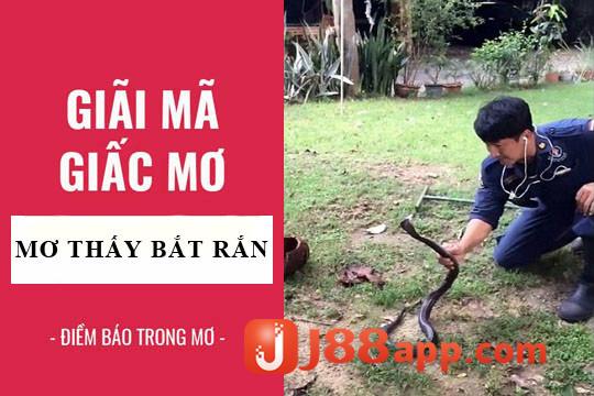 Nằm mơ thấy bắt rắn có điềm báo gì?